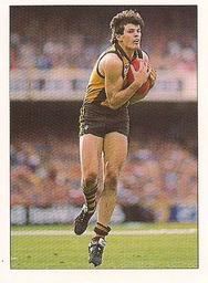 1990 Select AFL Stickers #149 Chris Langford Front